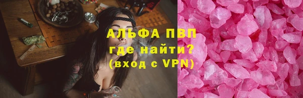 ECSTASY Богородицк
