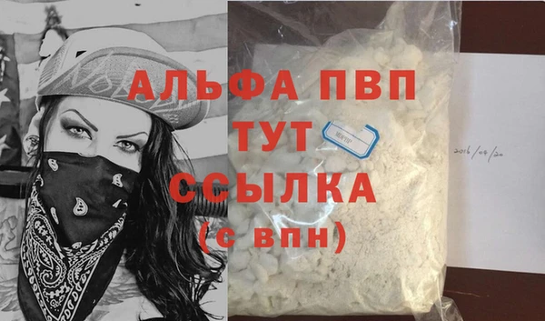 ECSTASY Богородицк
