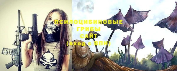 амфетамин Богородск