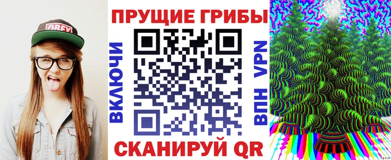 что такое наркотик  Новосибирск  Галлюциногенные грибы GOLDEN TEACHER 